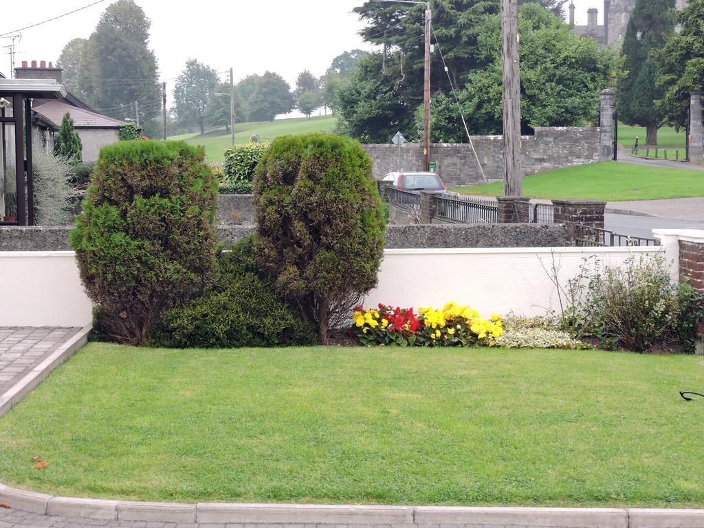 The Meadows Bed And Breakfast Monaghan Eksteriør billede